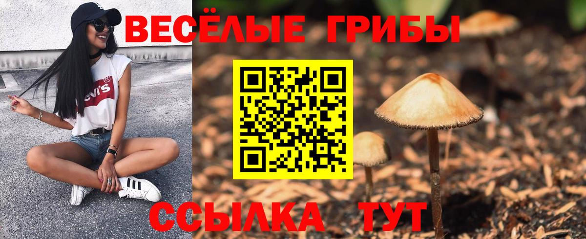 Галлюциногенные грибы Psilocybine cubensis Наро-Фоминск