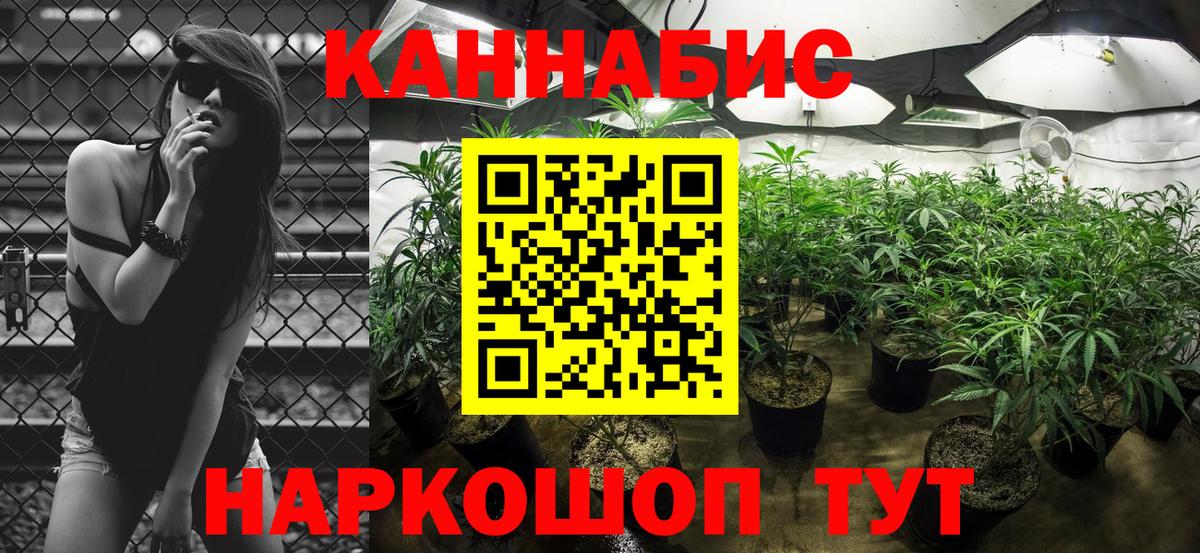Марихуана конопля  Конопля Amnesia  Бошки марихуана план  Наро-Фоминск  Вход с VPN 